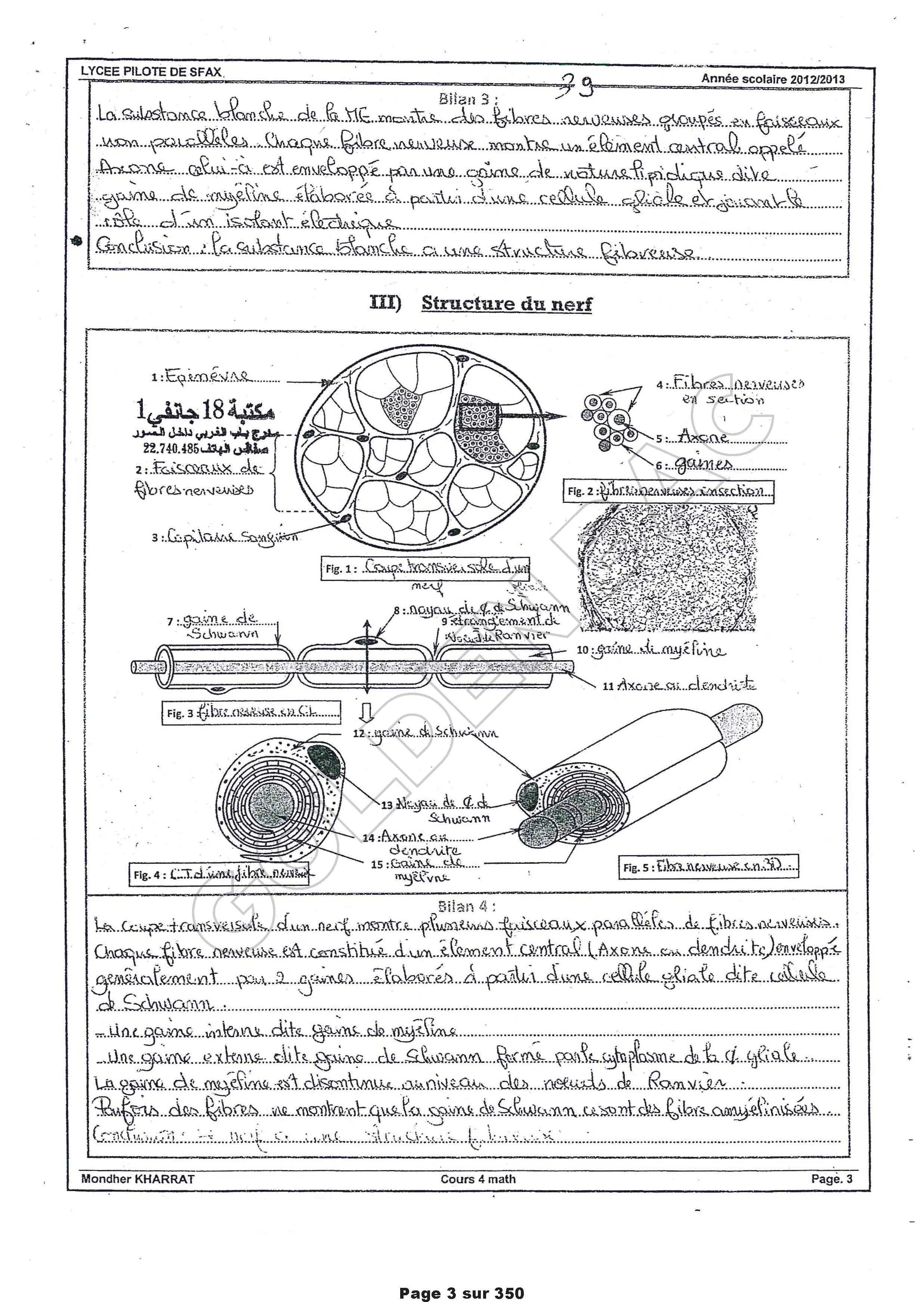 SVT - TOUTE LANNEE - BAC MATHS