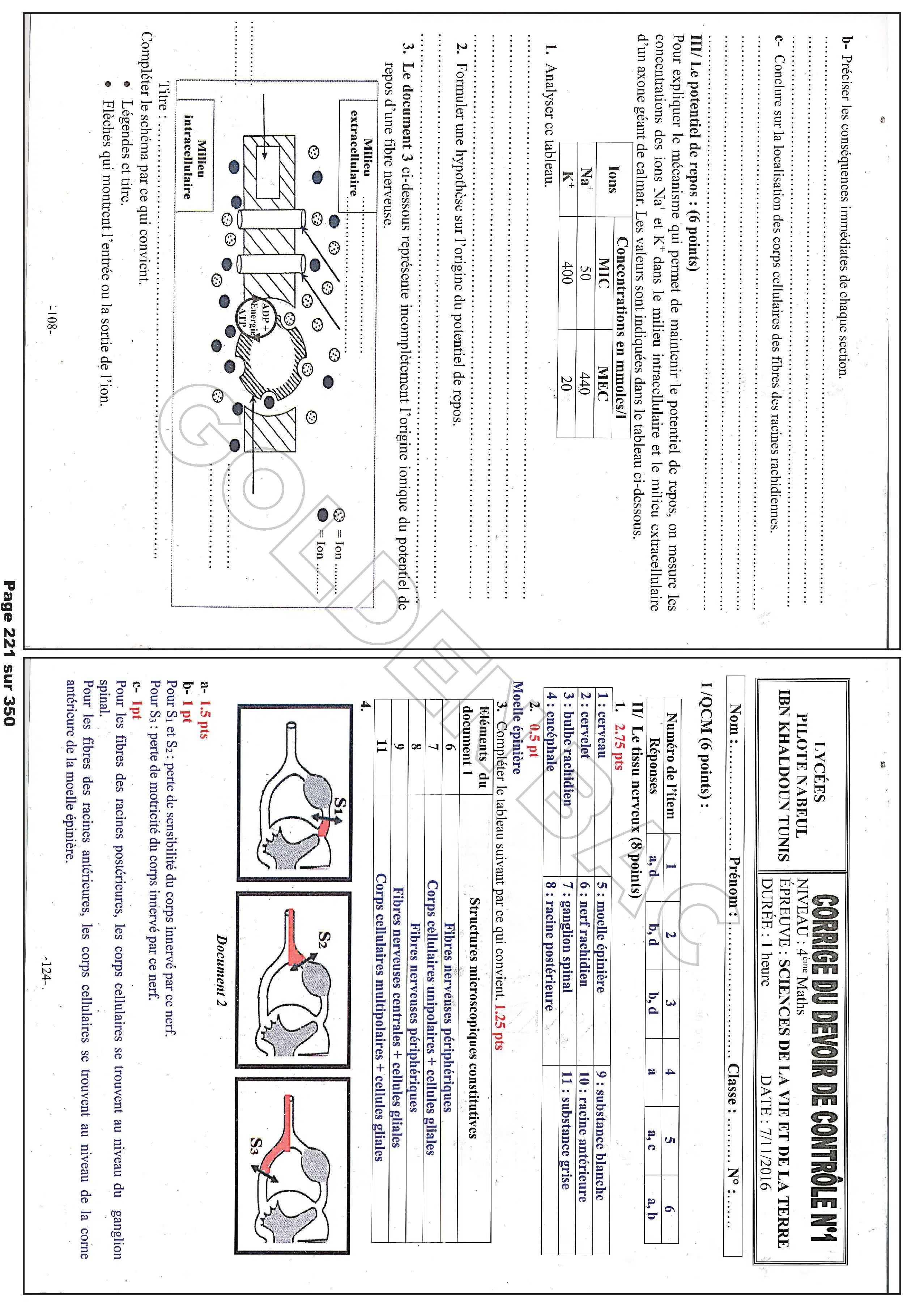 SVT - TOUTE LANNEE - BAC MATHS