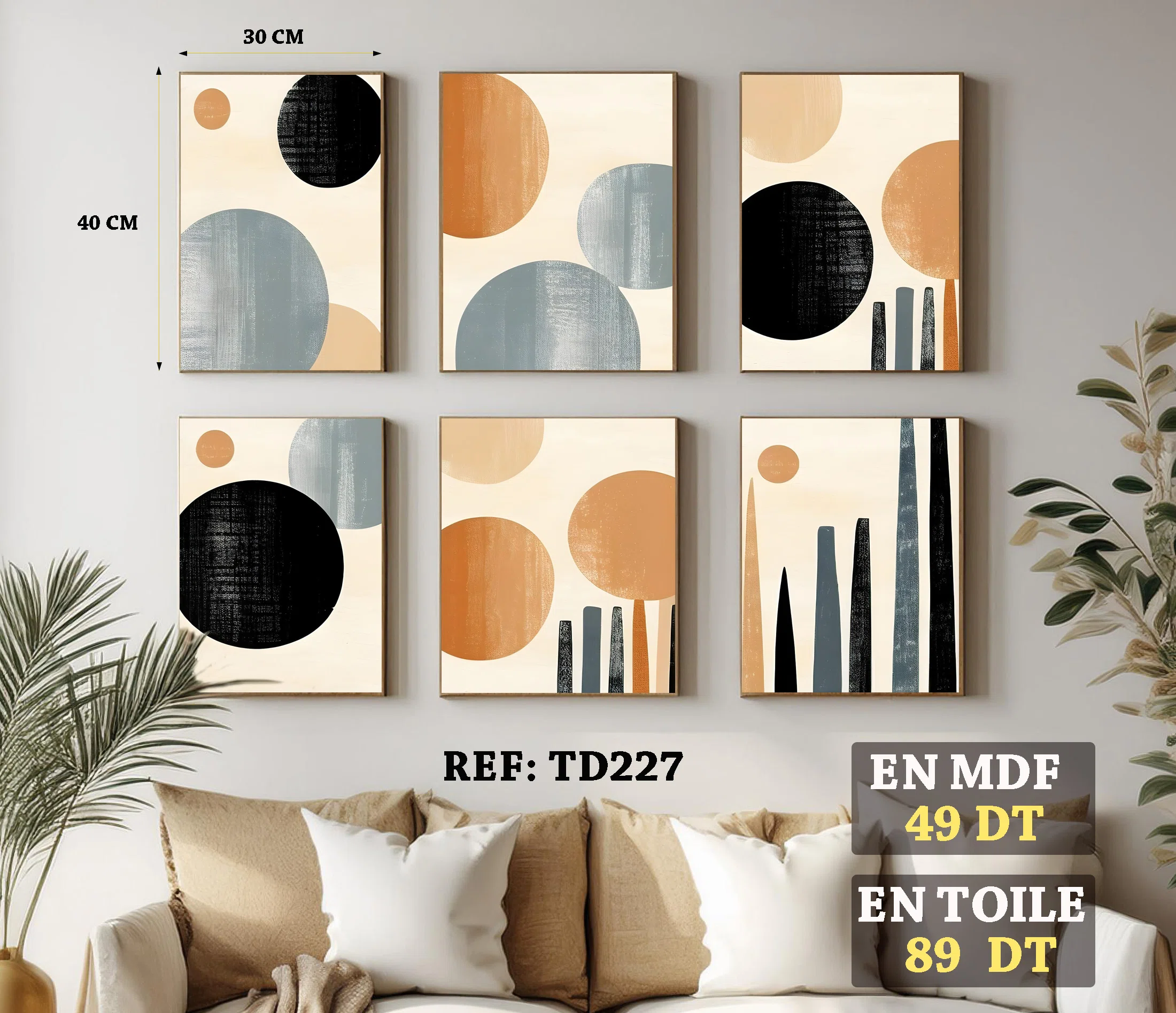 Tableaux Décoratif 6 pièces - TD227