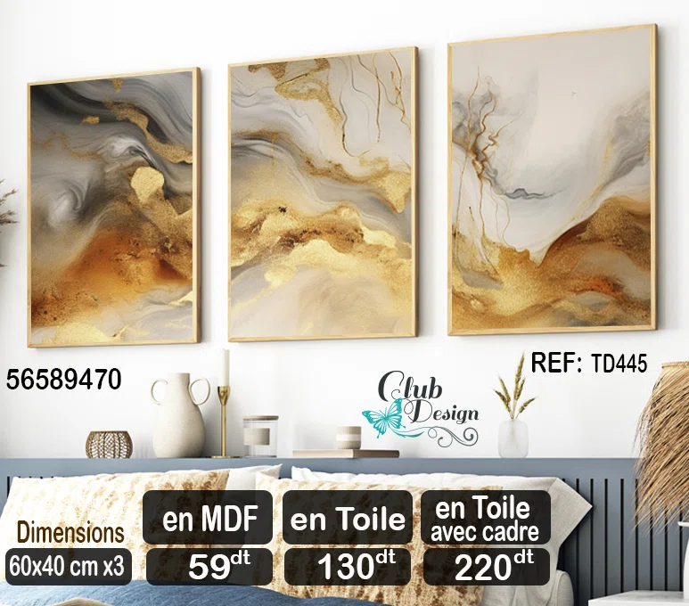 Tableaux Décoratif 3 pièces - (60x40)cm x3 - TD445