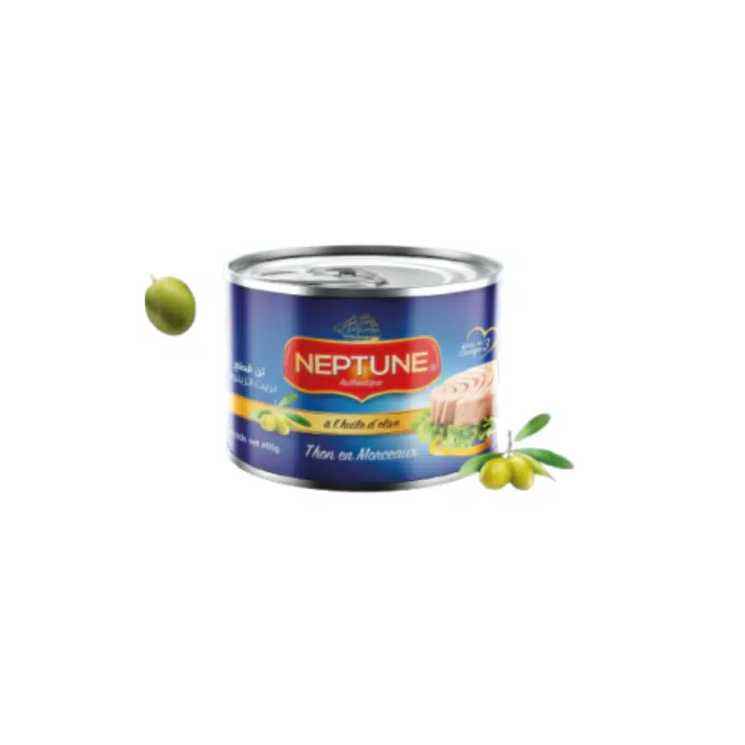 THON HO 400 GR NEPTUNE