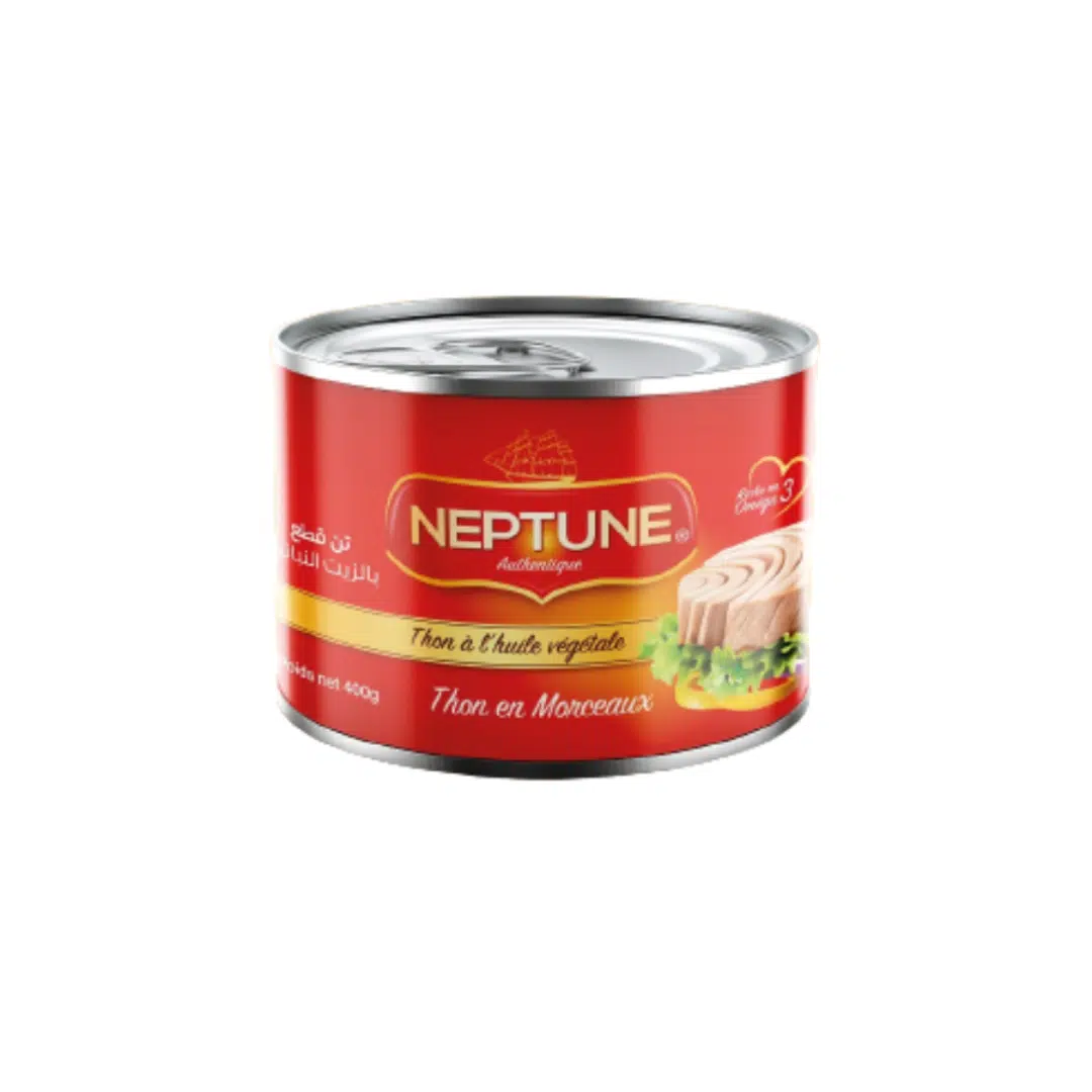 THON HV 2.050 KG NEPTUNE