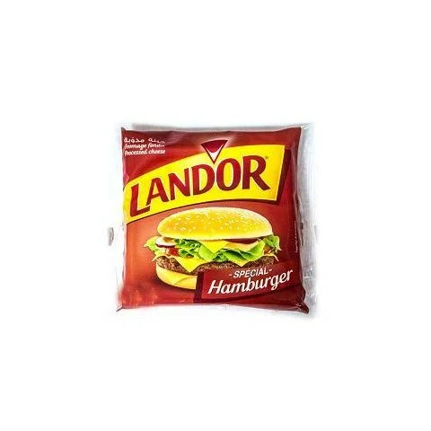 TRANCHETTE HAMBURGER T20 LAND'OR