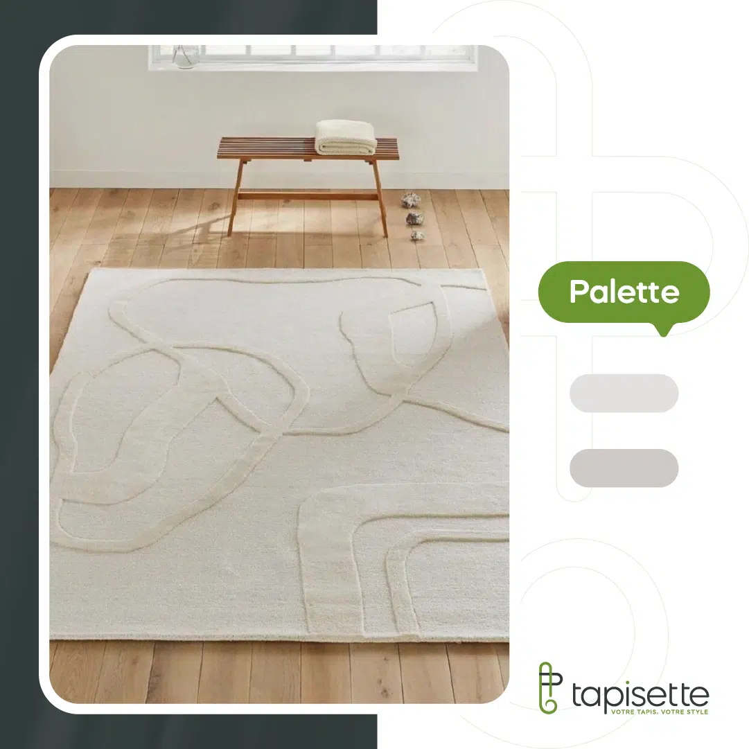 Tapis Moderne Minimaliste