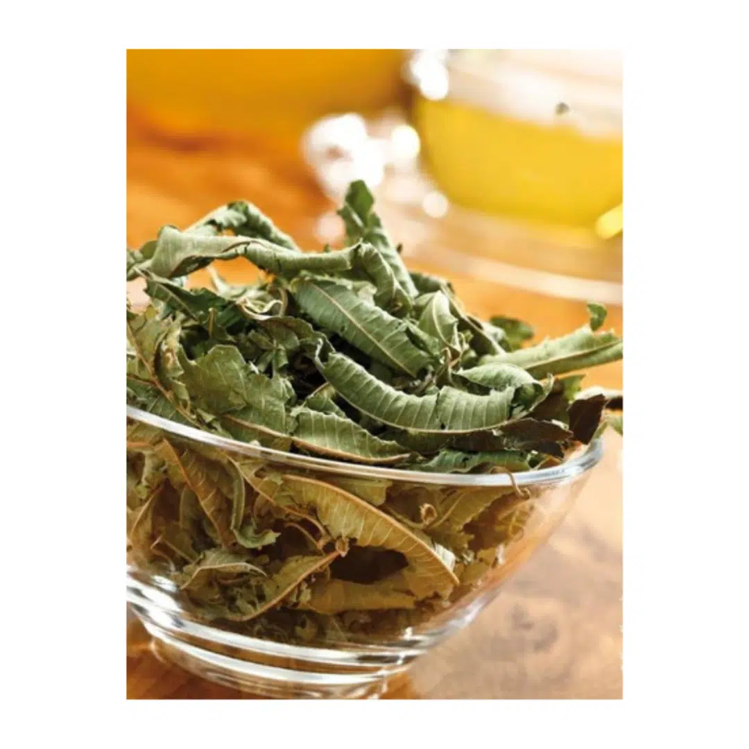 VERVEINE