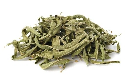 VERVEINE