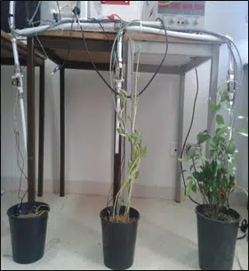 Kit pour lIrrigation Intelligente