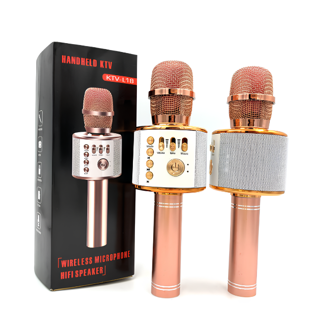 Microphone de karaoké sans fil - ميكروفون كاريوكي لاسلكي