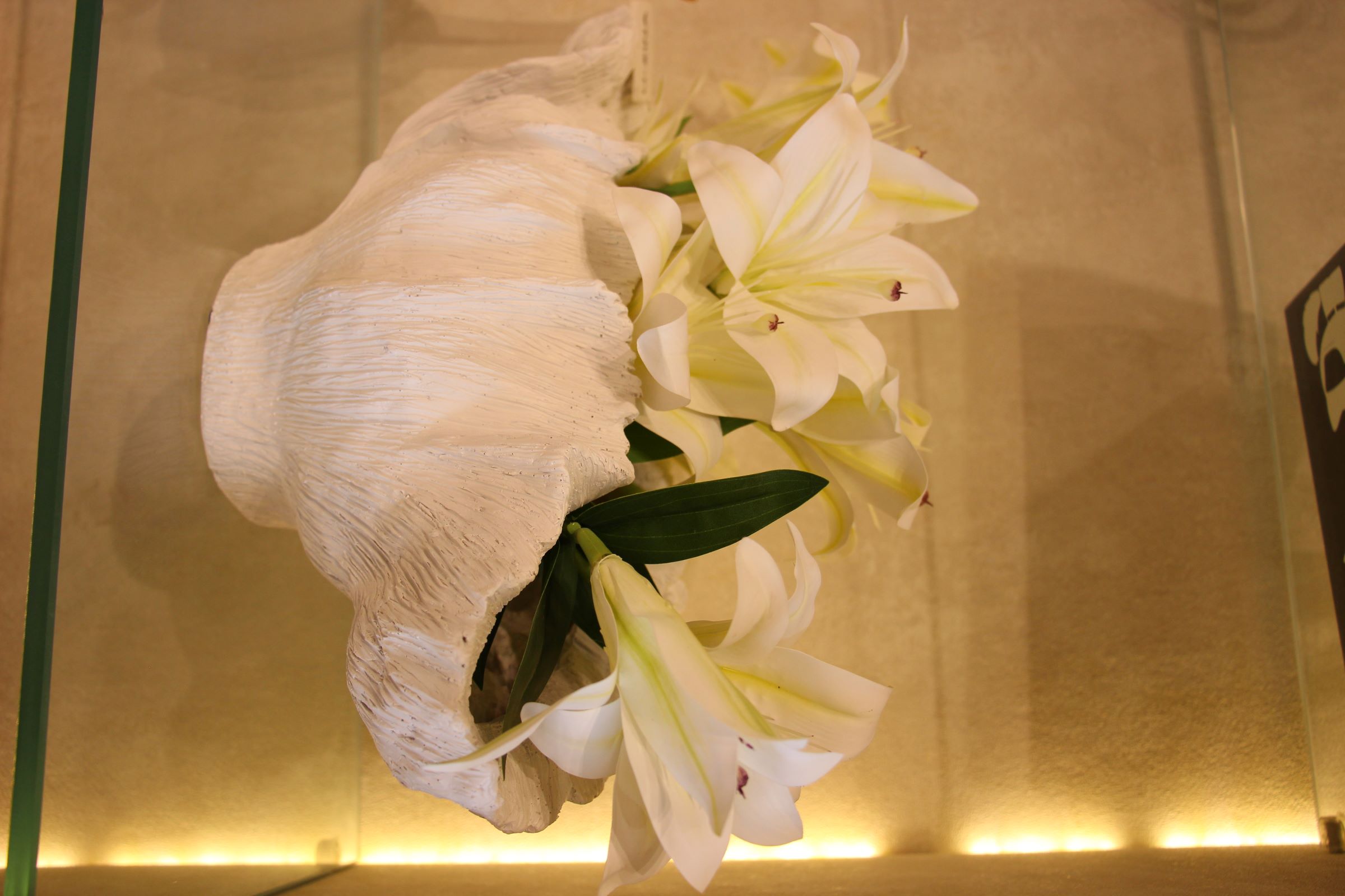 Vase coquille Bénitier blanc