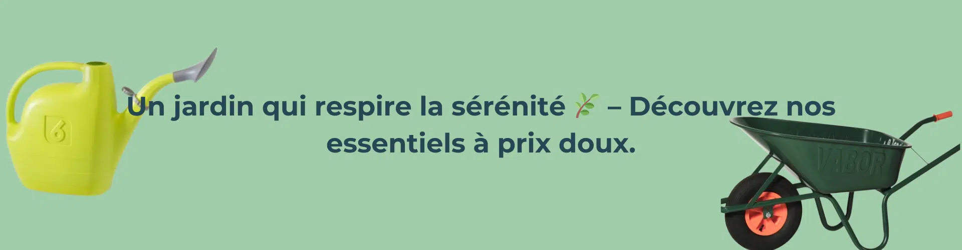 Image Desc