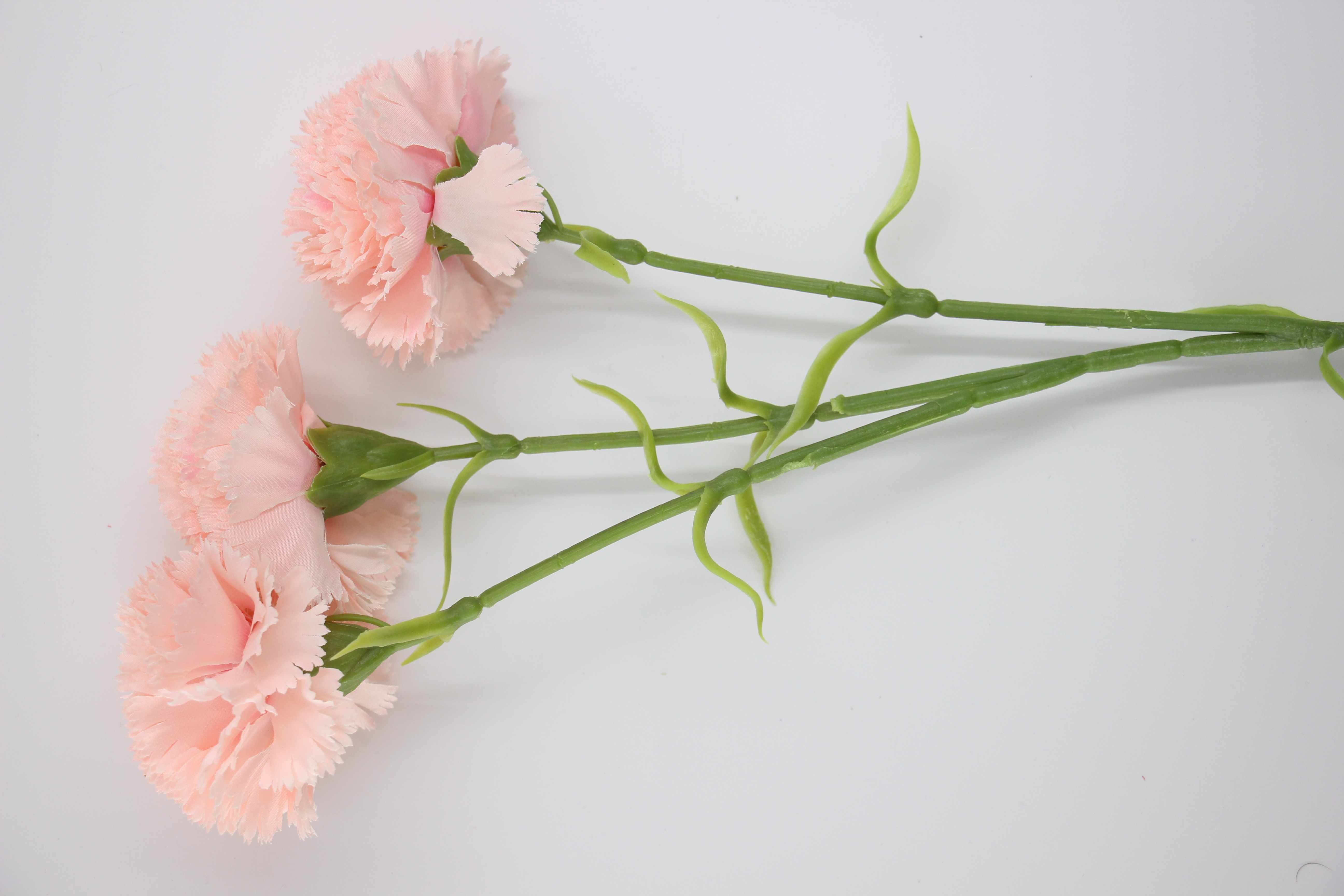 Fleur BB