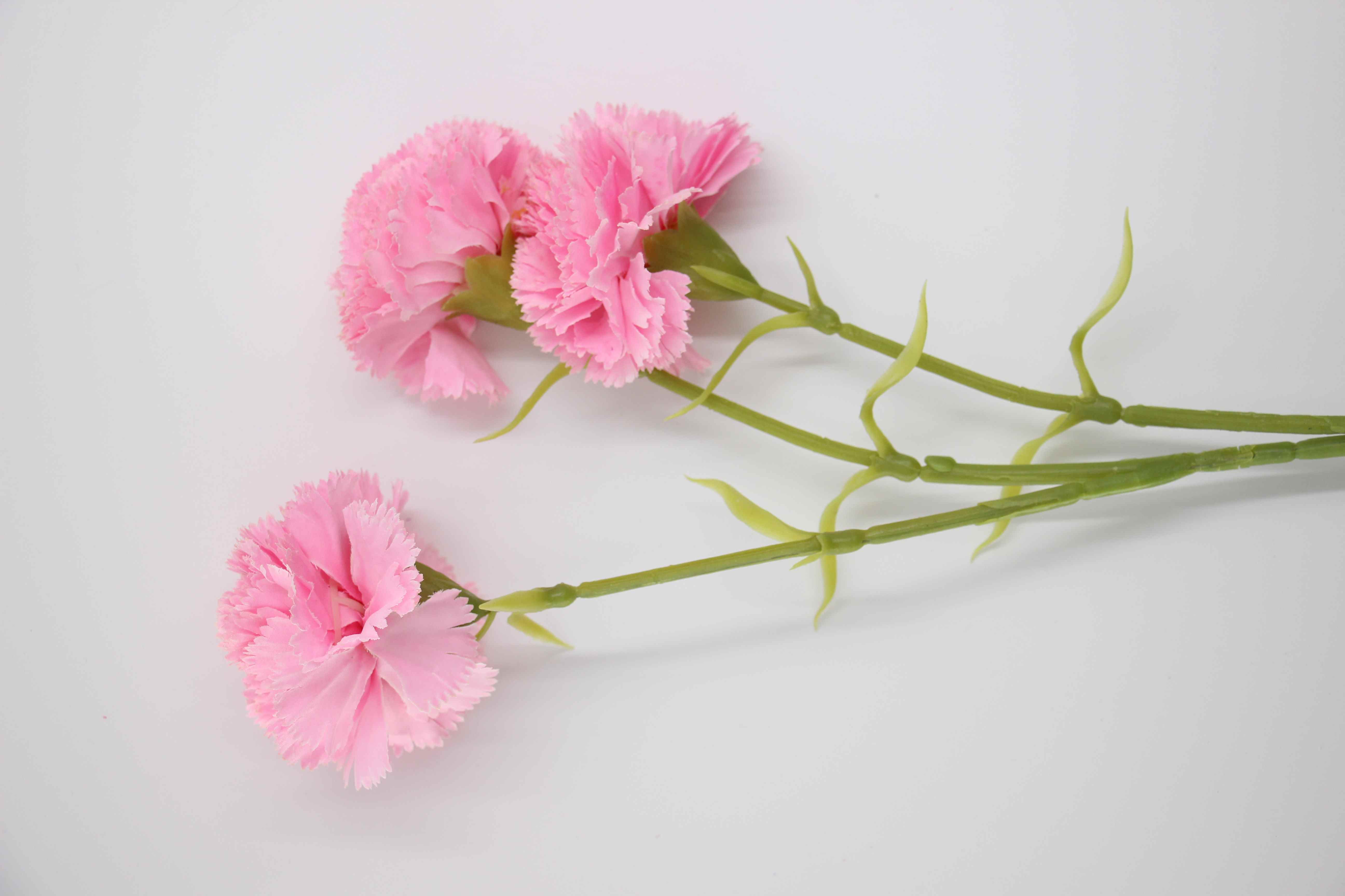 Fleur BB