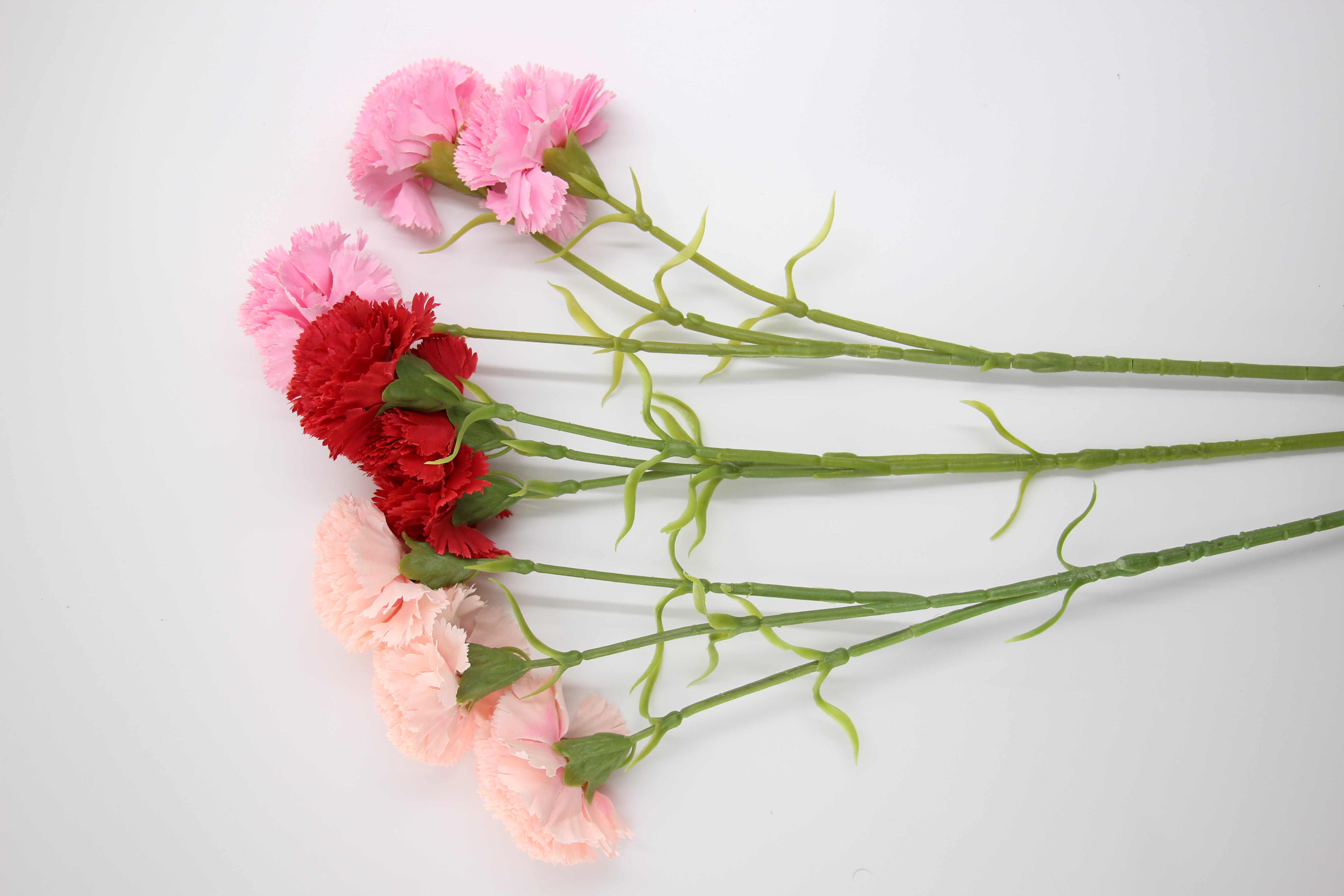 Fleur BB