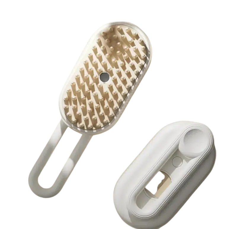 Brosse à vapeur pro