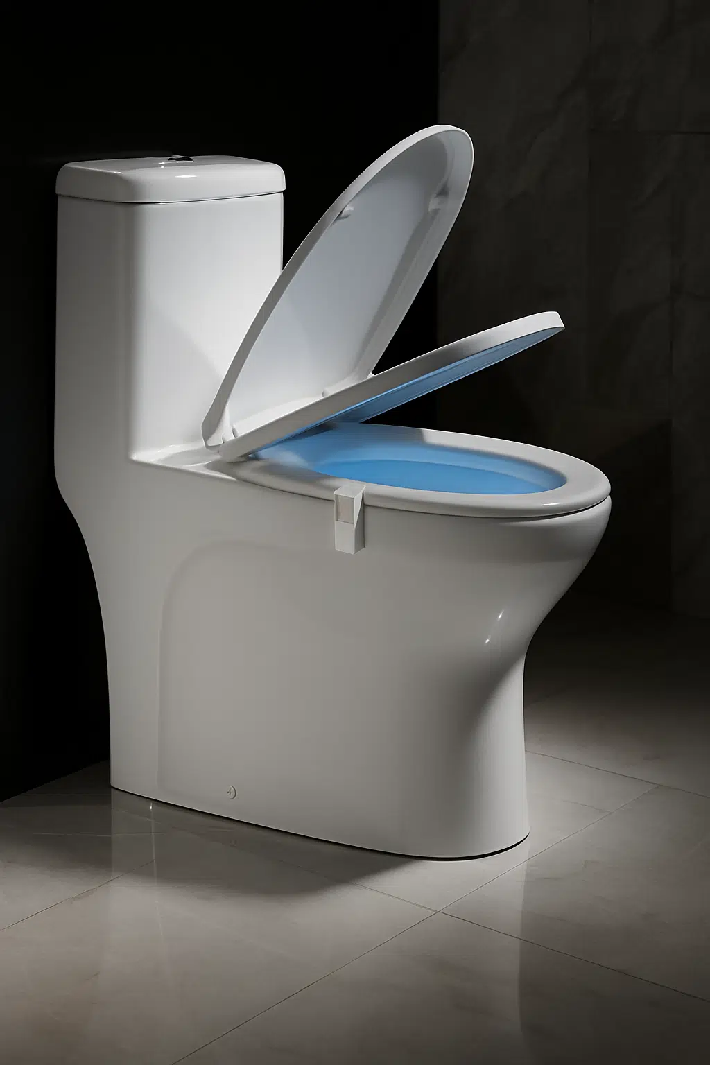 Smart WC