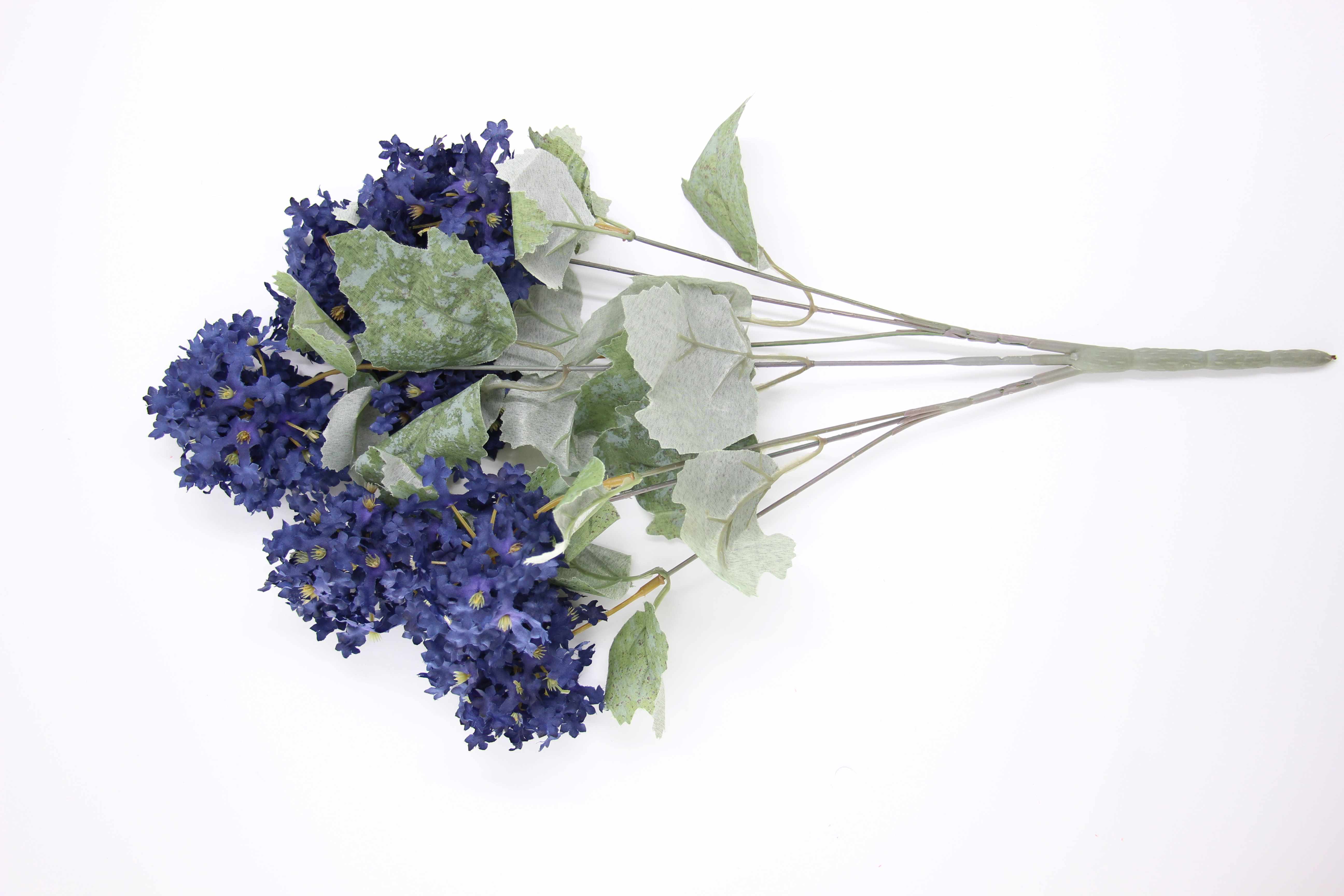 Fleurs (C)