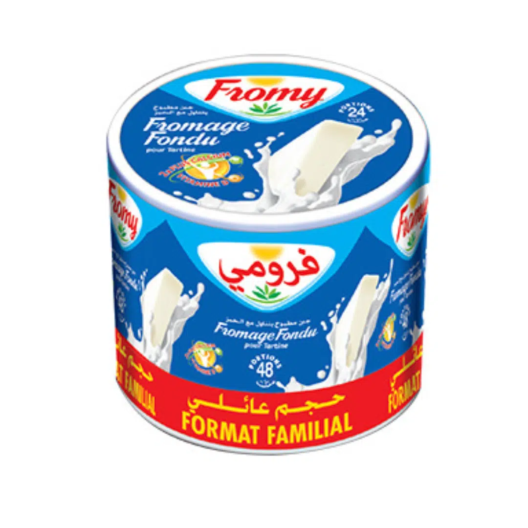 BTE FROMAGE PORTION 48P FROMY PLUS