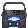 Haut-parleur rechargeable avec entrée carte USB et Bluetooth et Radio
