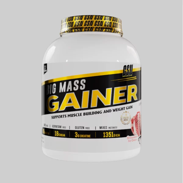 GSN BIG MASS GAINER 3KG