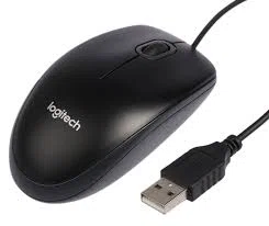 Souris optique USB B100