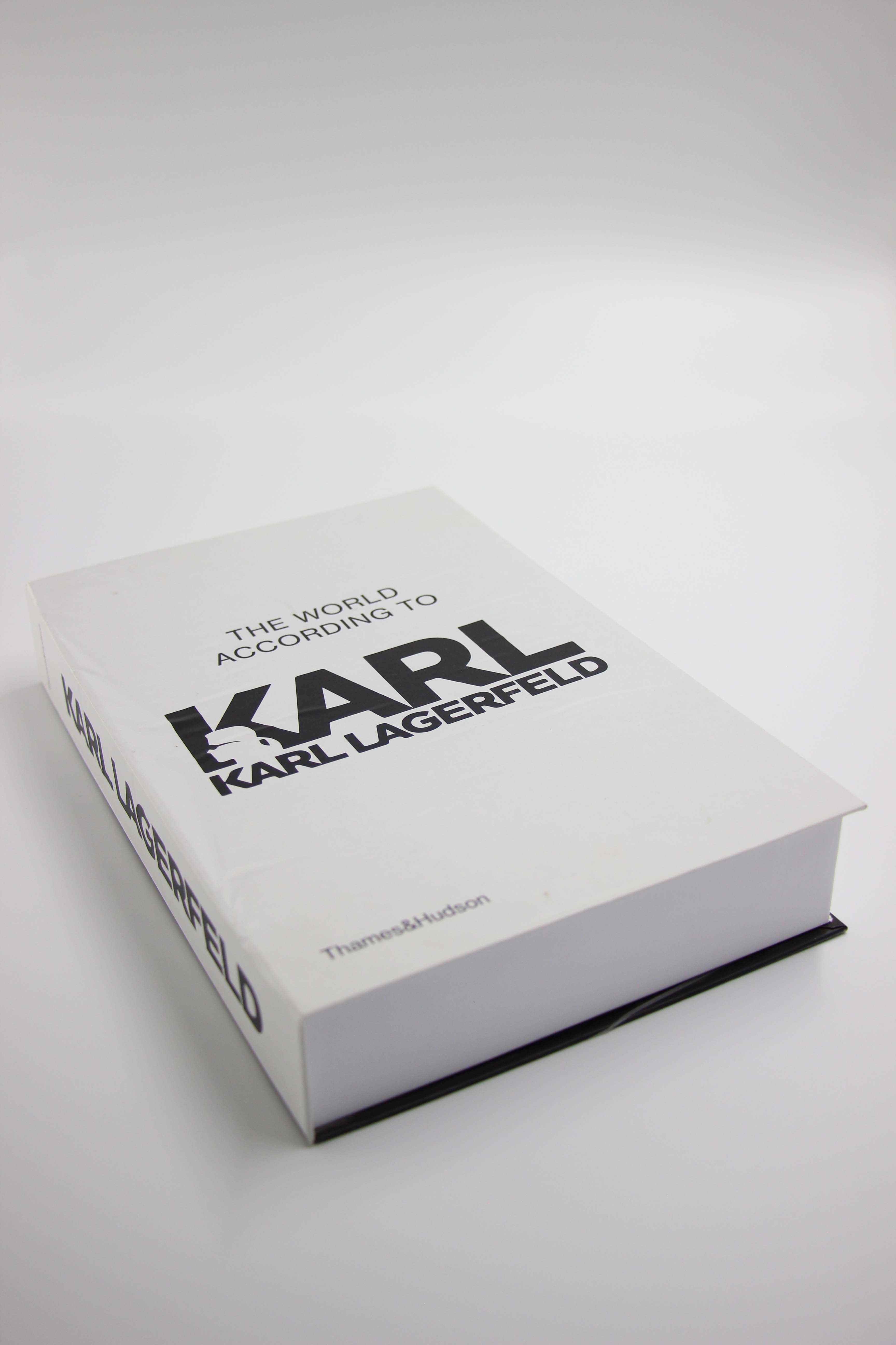 Fake book karl lagerfeld