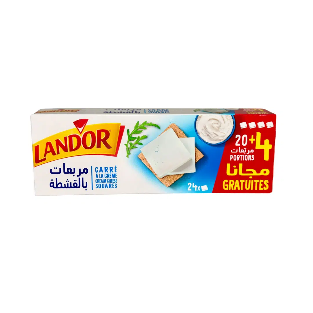 BTE FROMAGE CARRE LANDOR 24P