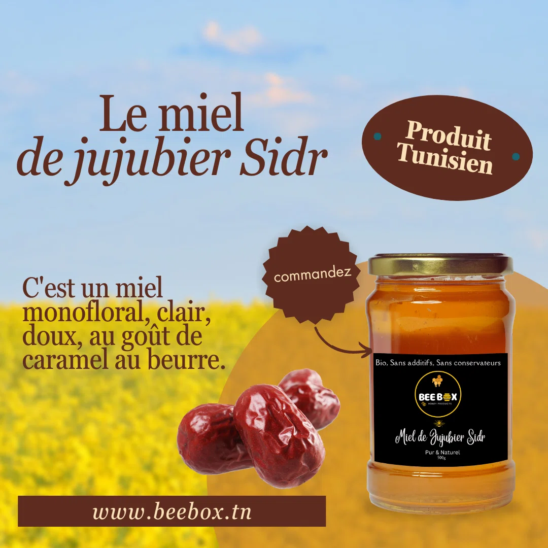 Miel de Jujubier (Sidr)