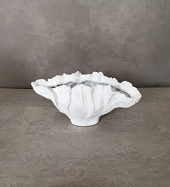 Vase coquille Bénitier blanc