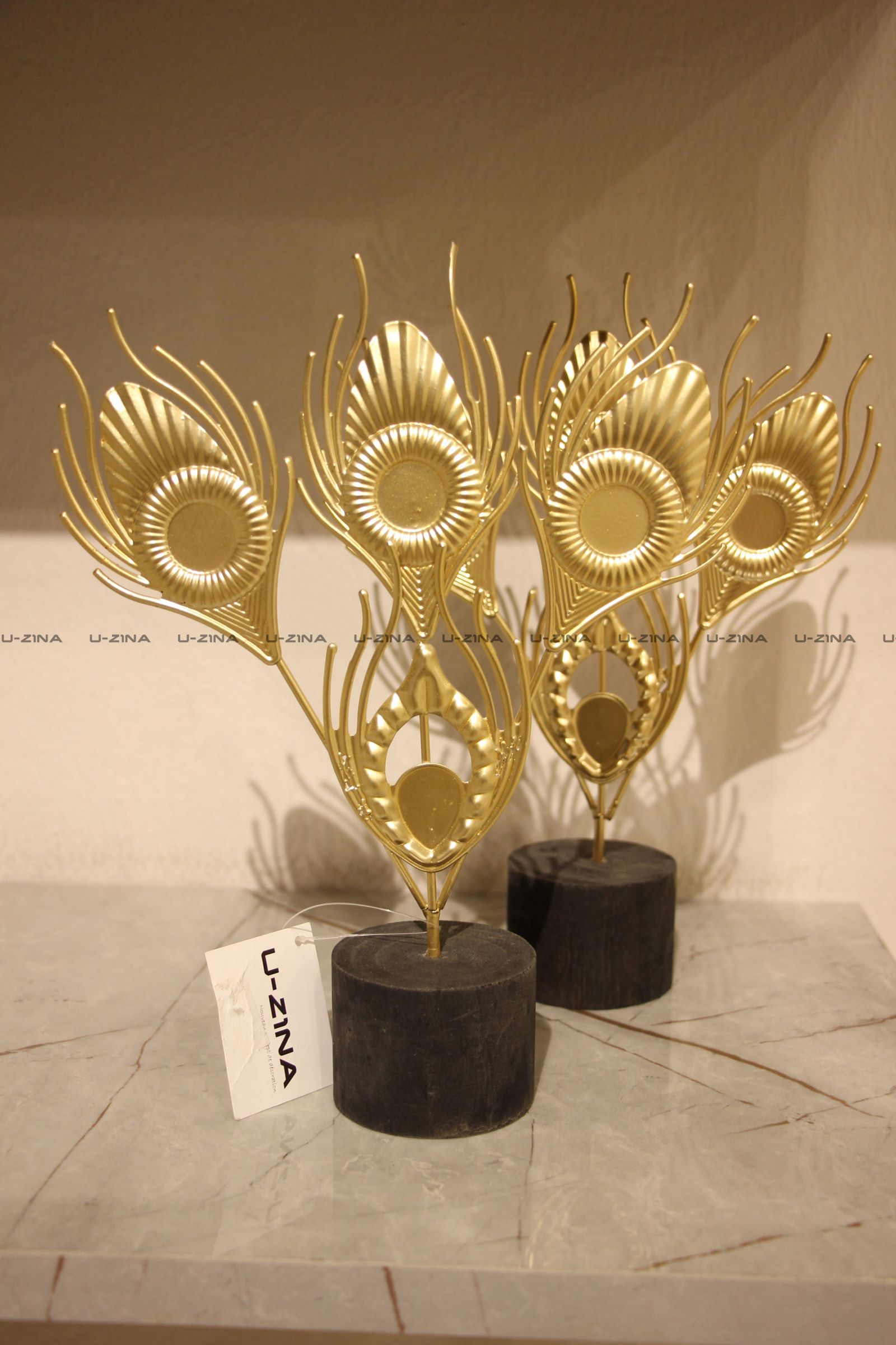 Deco plume a Paon