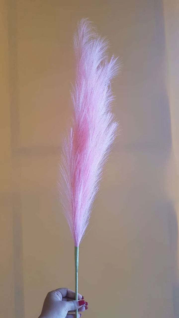 Fleur herbe de pampas rose